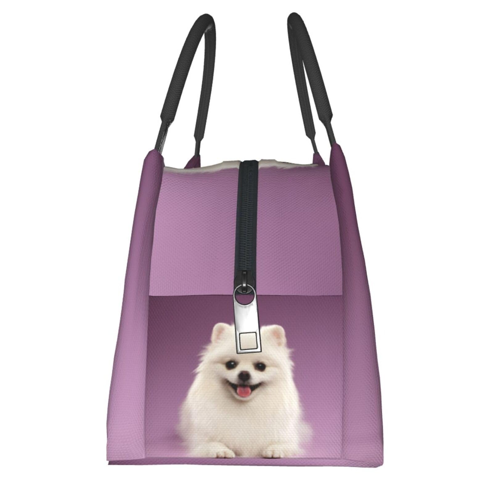 Amazon｜ポメラニアン 犬柄 エコバッグ 折りたたみ 保冷保温 ランチ